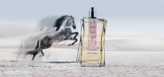 Morph Indomable Extrait de Parfum
