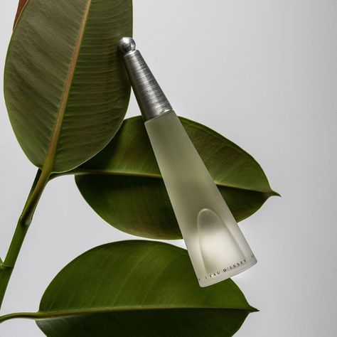 Issey Miyake L’Eau d’Issey EDT