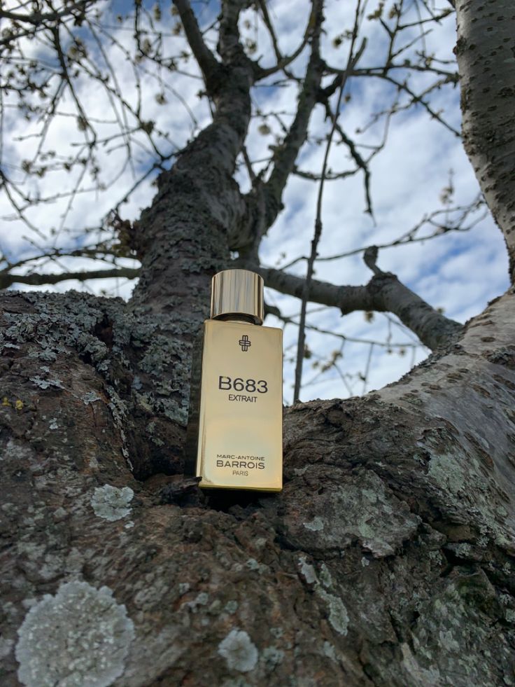 Marc-Antoine Barrois B683 Extract de Parfum