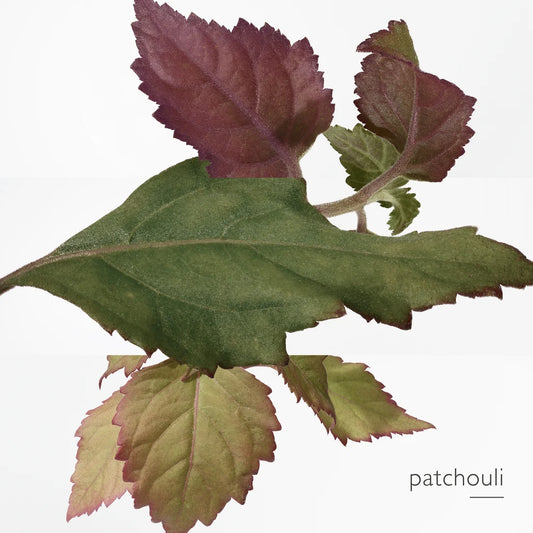 Hermès Elixir des Merveilles EDP