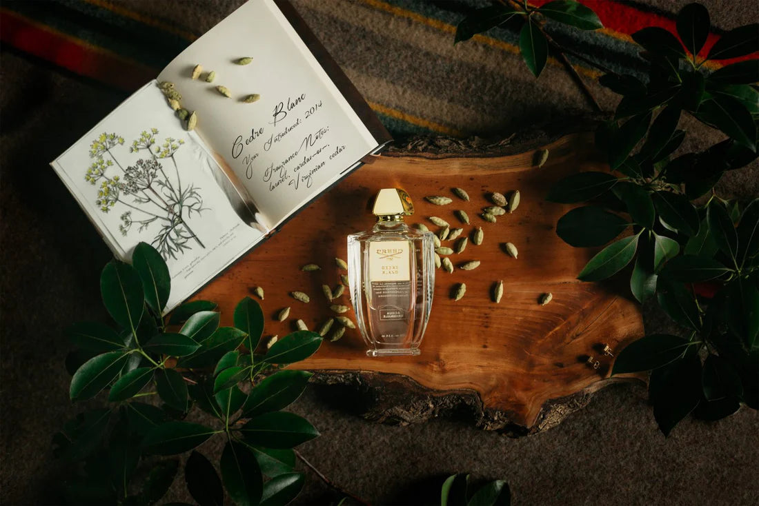 Creed Acqua Originale Cedre Blanc EDP