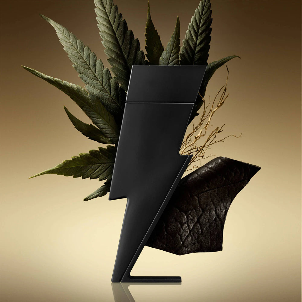 Carolina Herrera Bad Boy Le Parfum EDP