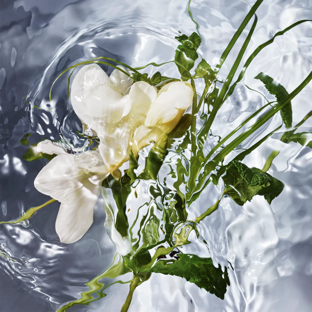 Guerlain Aqua Allegoria Herba Fresca EDT