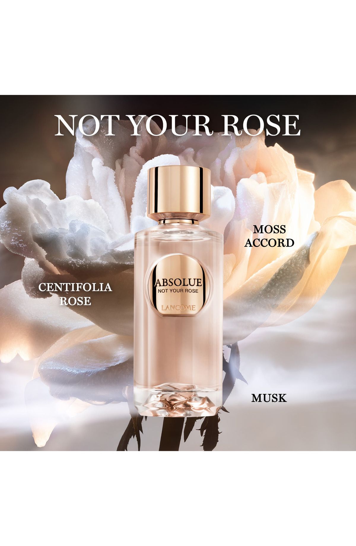 Lancome Absolute Not Your Rose EDP