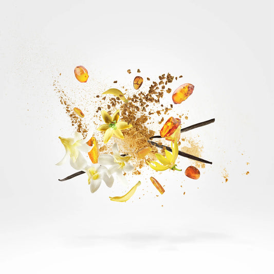 Xerjoff Amber Star Shooting Stars EDP