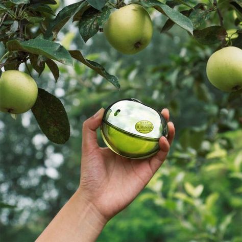 DKNY Be Delicious EDP