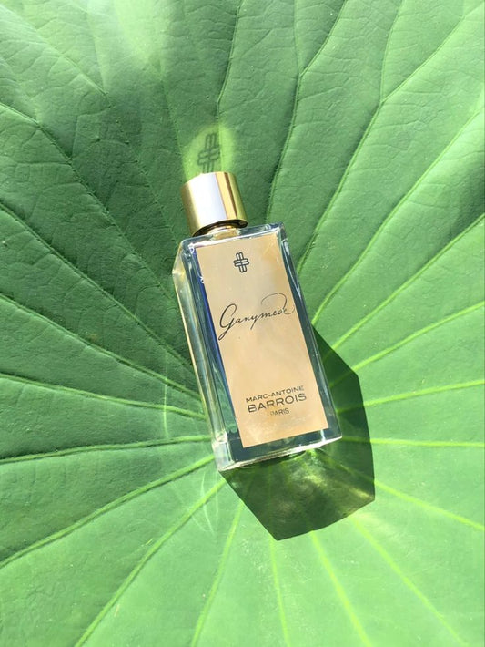 Marc-Antoine Barrois Ganymede EDP