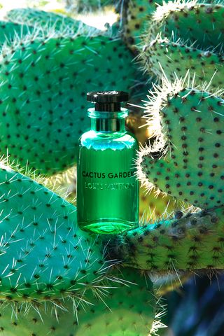 Louis Vuitton Cactus Garden EDP