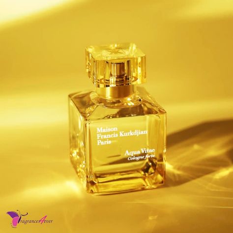 Maison Francis Kurkdjian Aqua Vitae Cologne Forte EDP
