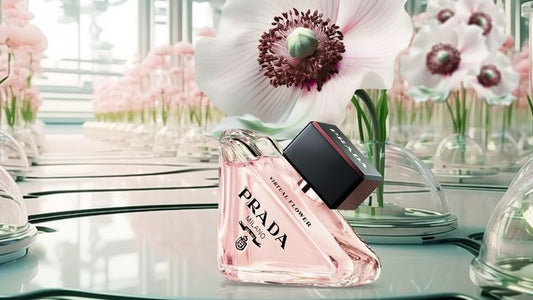 Prada Paradoxe EDP