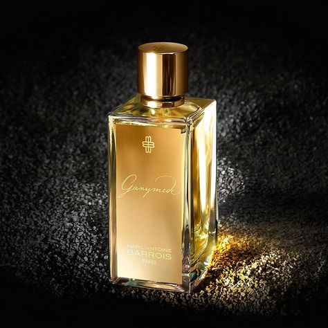 Marc-Antoine Barrois Ganymede EDP