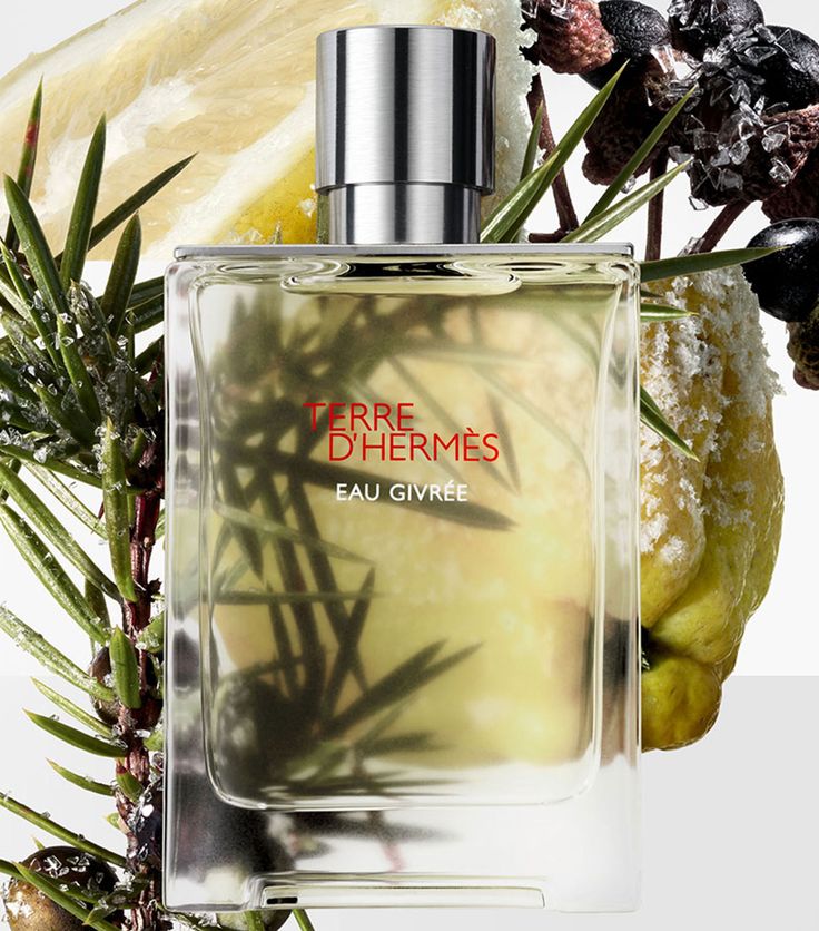 Hermès Terre d’Hermès Eau Givrée EDP
