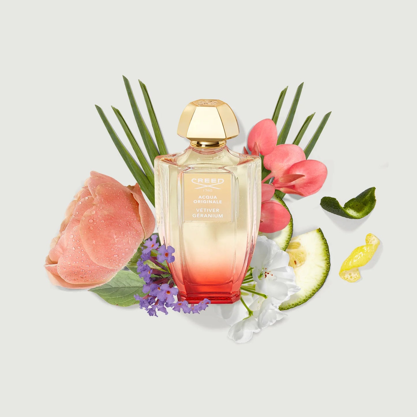 Creed Acqua Originale Vetiver Geranium EDP