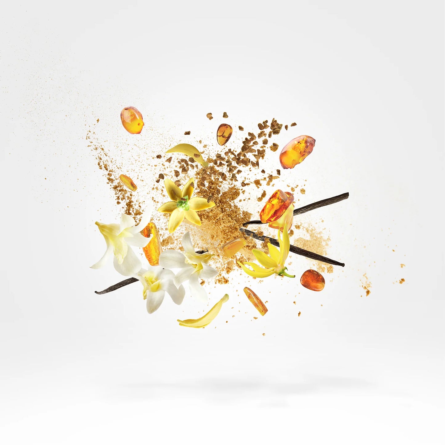 Xerjoff Amber Star Shooting Stars EDP